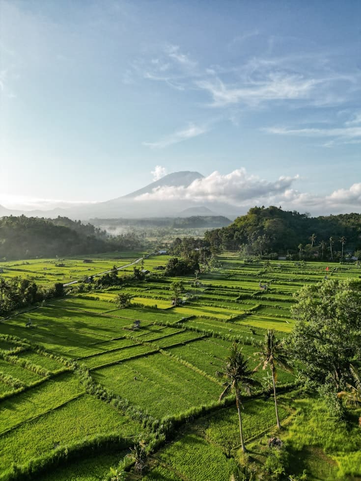 Green Rice Terraces and Mount Agung in Bali